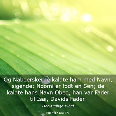 Picture 03 - Rut 4:17 DA1871 - Og Naboerskerne kaldte ham med Navn, sigende: - Bible Verse Picture