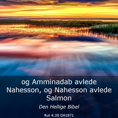 Picture 03 - Rut 4:20 DA1871 - og Amminadab avlede Nahesson, og Nahesson avlede - Bible Verse Picture