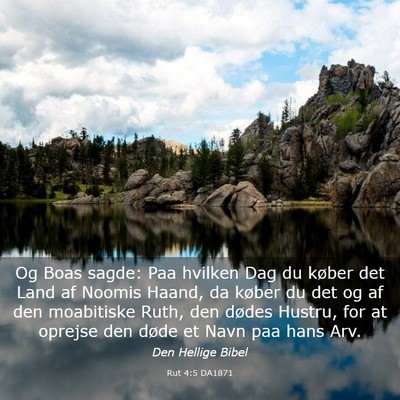 Picture 03 - Rut 4:5 DA1871 - Og Boas sagde: Paa hvilken Dag du køber det Land - Bible Verse Picture