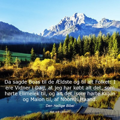 Picture 03 - Rut 4:9 DA1871 - Da sagde Boas til de Ældste og til alt Folket: I - Bible Verse Picture