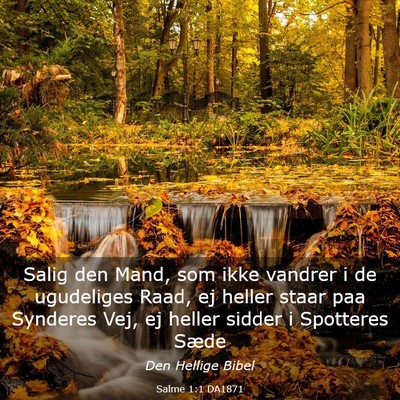 Picture 03 - Salme 1:1 DA1871 - Salig den Mand, som ikke vandrer i de ugudeliges - Bible Verse Picture