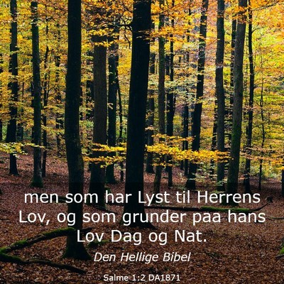 Picture 03 - Salme 1:2 DA1871 - men som har Lyst til Herrens Lov, og som grunder - Bible Verse Picture