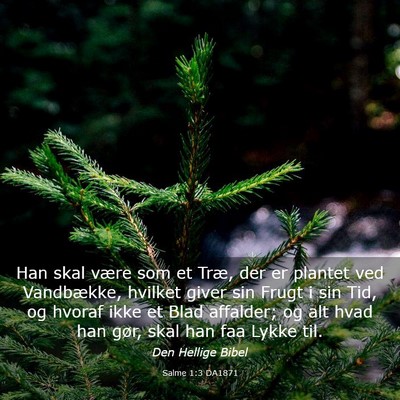 Picture 03 - Salme 1:3 DA1871 - Han skal være som et Træ, der er plantet ved - Bible Verse Picture