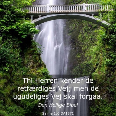 Picture 03 - Salme 1:6 DA1871 - Thi Herren kender de retfærdiges Vej; men de - Bible Verse Picture