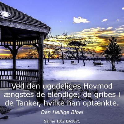 Picture 03 - Salme 10:2 DA1871 - Ved den ugudeliges Hovmod ængstes de elendige; - Bible Verse Picture