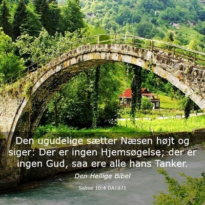 Picture 03 - Salme 10:4 DA1871 - Den ugudelige sætter Næsen højt og siger: Der - Bible Verse Picture