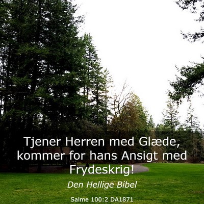 Picture 03 - Salme 100:2 DA1871 - Tjener Herren med Glæde, kommer for hans Ansigt - Bible Verse Picture