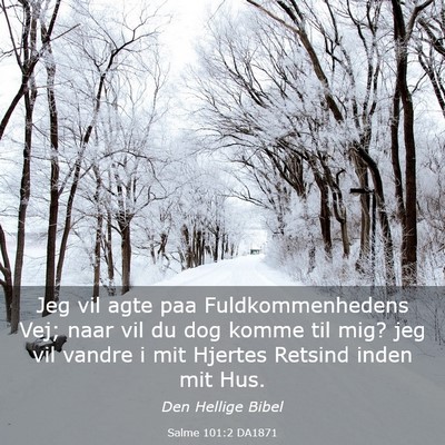 Picture 03 - Salme 101:2 DA1871 - Jeg vil agte paa Fuldkommenhedens Vej; naar vil - Bible Verse Picture
