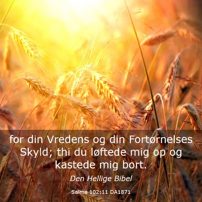 Picture 03 - Salme 102:11 DA1871 - for din Vredens og din Fortørnelses Skyld; thi - Bible Verse Picture