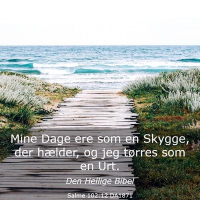Picture 03 - Salme 102:12 DA1871 - Mine Dage ere som en Skygge, der hælder, og jeg - Bible Verse Picture