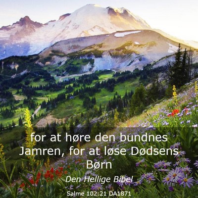 Picture 03 - Salme 102:21 DA1871 - for at høre den bundnes Jamren, for at løse - Bible Verse Picture