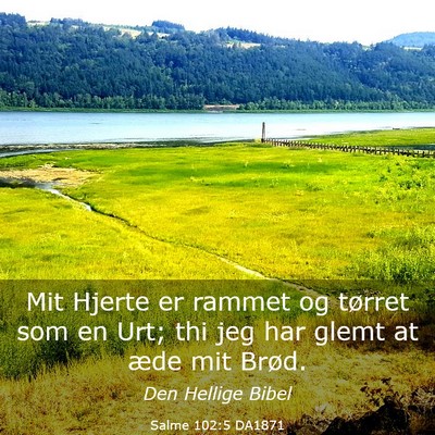 Picture 03 - Salme 102:5 DA1871 - Mit Hjerte er rammet og tørret som en Urt; thi - Bible Verse Picture