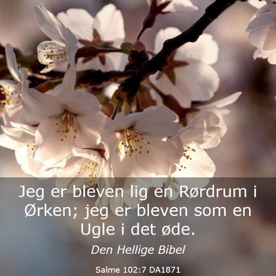 Picture 03 - Salme 102:7 DA1871 - Jeg er bleven lig en Rørdrum i Ørken; jeg er - Bible Verse Picture