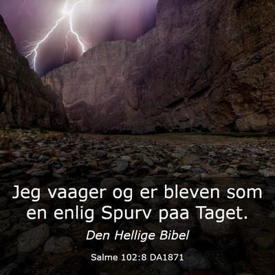 Picture 03 - Salme 102:8 DA1871 - Jeg vaager og er bleven som en enlig Spurv paa - Bible Verse Picture