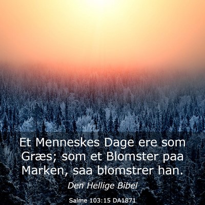 Picture 03 - Salme 103:15 DA1871 - Et Menneskes Dage ere som Græs; som et Blomster - Bible Verse Picture