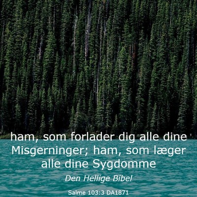 Picture 03 - Salme 103:3 DA1871 - ham, som forlader dig alle dine Misgerninger; - Bible Verse Picture
