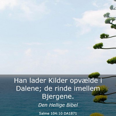 Picture 03 - Salme 104:10 DA1871 - Han lader Kilder opvælde i Dalene; de rinde - Bible Verse Picture