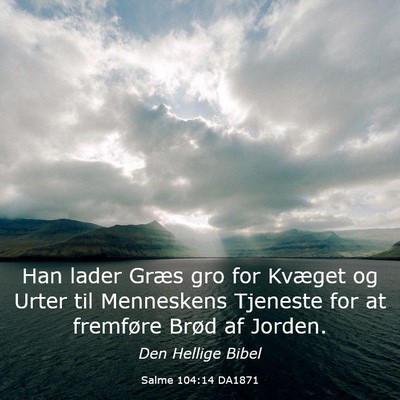 Picture 03 - Salme 104:14 DA1871 - Han lader Græs gro for Kvæget og Urter til - Bible Verse Picture