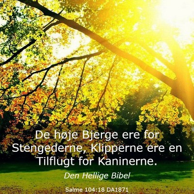Picture 03 - Salme 104:18 DA1871 - De høje Bjerge ere for Stengederne, Klipperne - Bible Verse Picture