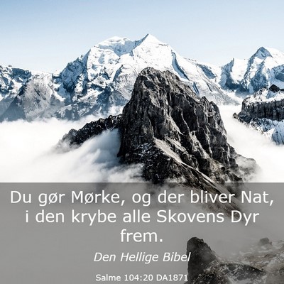 Picture 03 - Salme 104:20 DA1871 - Du gør Mørke, og der bliver Nat, i den krybe - Bible Verse Picture