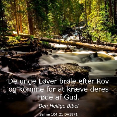 Picture 03 - Salme 104:21 DA1871 - De unge Løver brøle efter Rov og komme for at - Bible Verse Picture
