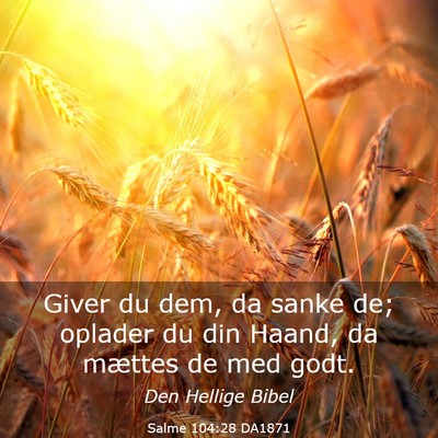 Picture 03 - Salme 104:28 DA1871 - Giver du dem, da sanke de; oplader du din Haand, - Bible Verse Picture
