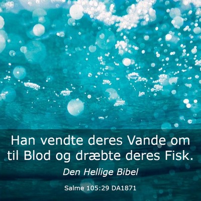 Picture 03 - Salme 105:29 DA1871 - Han vendte deres Vande om til Blod og dræbte - Bible Verse Picture