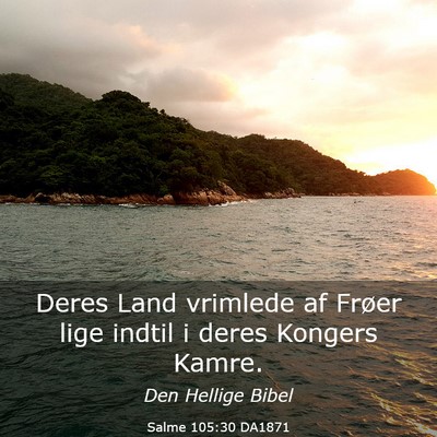 Picture 03 - Salme 105:30 DA1871 - Deres Land vrimlede af Frøer lige indtil i deres - Bible Verse Picture