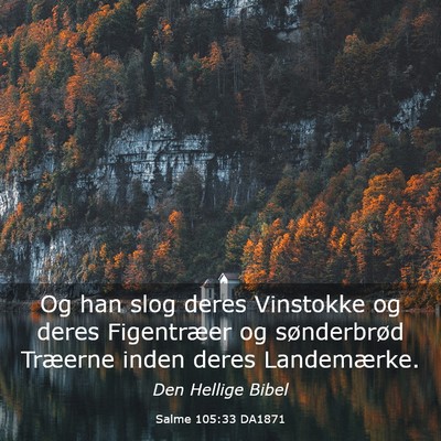 Picture 03 - Salme 105:33 DA1871 - Og han slog deres Vinstokke og deres Figentræer - Bible Verse Picture