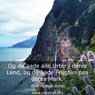 Picture 03 - Salme 105:35 DA1871 - Og de aade alle Urter i deres Land, og de aade - Bible Verse Picture