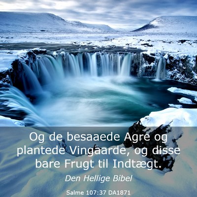 Picture 03 - Salme 107:37 DA1871 - Og de besaaede Agre og plantede Vingaarde, og - Bible Verse Picture