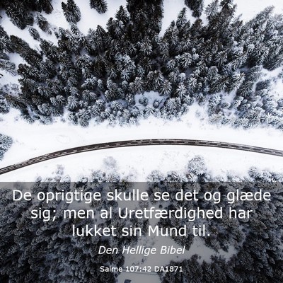 Picture 03 - Salme 107:42 DA1871 - De oprigtige skulle se det og glæde sig; men al - Bible Verse Picture