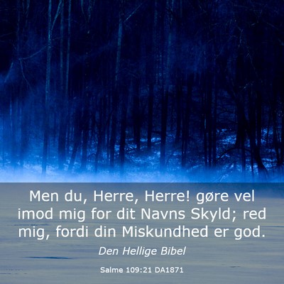 Picture 03 - Salme 109:21 DA1871 - Men du, Herre, Herre! gøre vel imod mig for dit - Bible Verse Picture