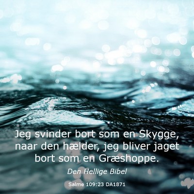 Picture 03 - Salme 109:23 DA1871 - Jeg svinder bort som en Skygge, naar den hælder, - Bible Verse Picture