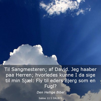 Picture 03 - Salme 11:1 DA1871 - Til Sangmesteren; af David. Jeg haaber paa - Bible Verse Picture