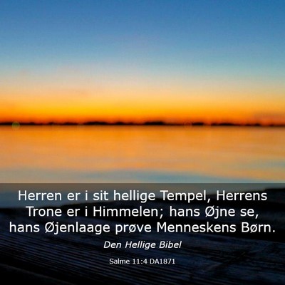 Picture 03 - Salme 11:4 DA1871 - Herren er i sit hellige Tempel, Herrens Trone er - Bible Verse Picture