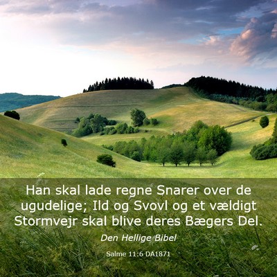 Picture 03 - Salme 11:6 DA1871 - Han skal lade regne Snarer over de ugudelige; Ild - Bible Verse Picture