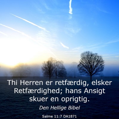 Picture 03 - Salme 11:7 DA1871 - Thi Herren er retfærdig, elsker Retfærdighed; - Bible Verse Picture