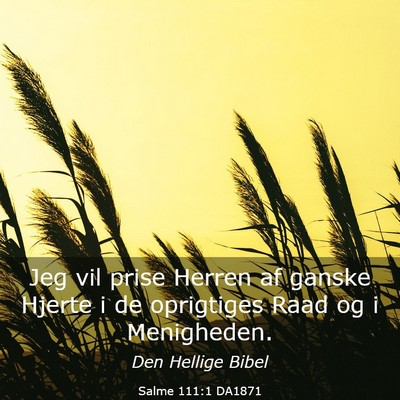 Picture 03 - Salme 111:1 DA1871 - Jeg vil prise Herren af ganske Hjerte i de - Bible Verse Picture