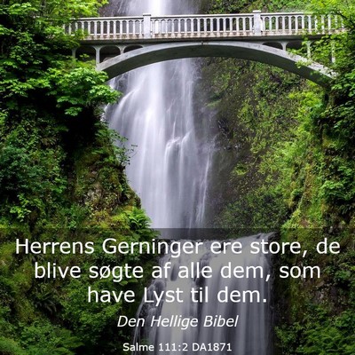 Picture 03 - Salme 111:2 DA1871 - Herrens Gerninger ere store, de blive søgte af - Bible Verse Picture