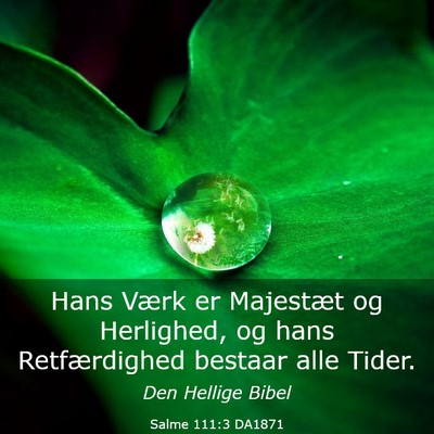 Picture 03 - Salme 111:3 DA1871 - Hans Værk er Majestæt og Herlighed, og hans - Bible Verse Picture