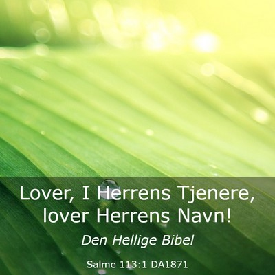 Picture 03 - Salme 113:1 DA1871 - Lover, I Herrens Tjenere, lover Herrens - Bible Verse Picture