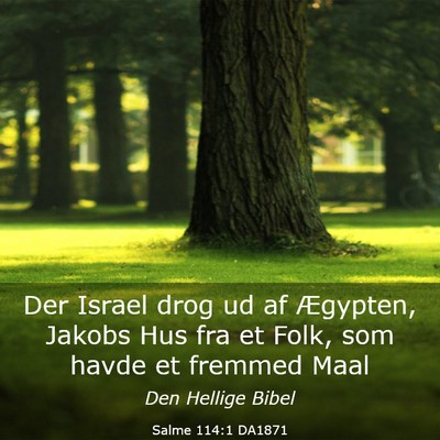 Picture 03 - Salme 114:1 DA1871 - Der Israel drog ud af Ægypten, Jakobs Hus fra et - Bible Verse Picture