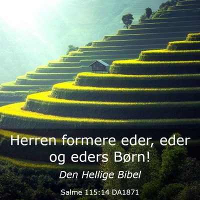 Picture 03 - Salme 115:14 DA1871 - Herren formere eder, eder og eders - Bible Verse Picture