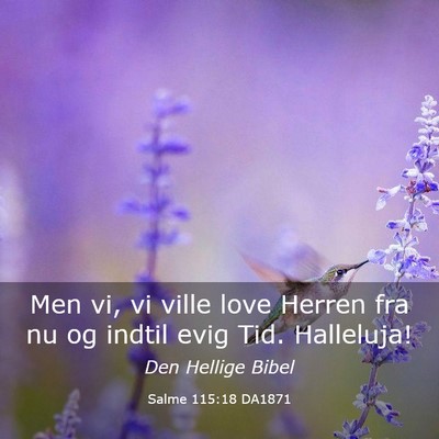 Picture 03 - Salme 115:18 DA1871 - Men vi, vi ville love Herren fra nu og indtil - Bible Verse Picture