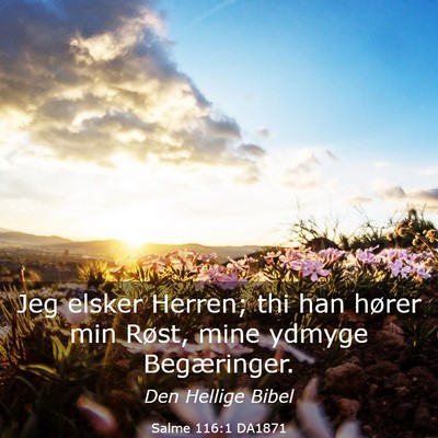 Picture 03 - Salme 116:1 DA1871 - Jeg elsker Herren; thi han hører min Røst, mine - Bible Verse Picture