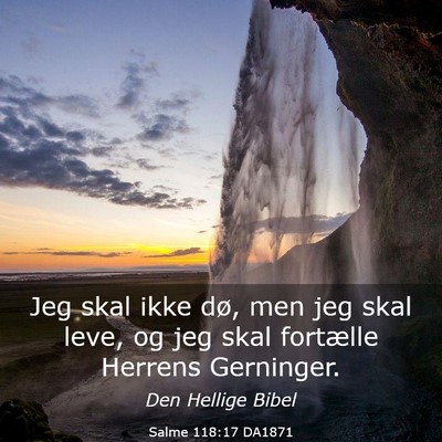 Picture 03 - Salme 118:17 DA1871 - Jeg skal ikke dø, men jeg skal leve, og jeg skal - Bible Verse Picture