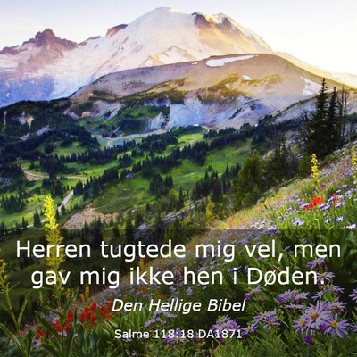 Picture 03 - Salme 118:18 DA1871 - Herren tugtede mig vel, men gav mig ikke hen i - Bible Verse Picture