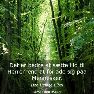 Picture 03 - Salme 118:8 DA1871 - Det er bedre at sætte Lid til Herren end at - Bible Verse Picture
