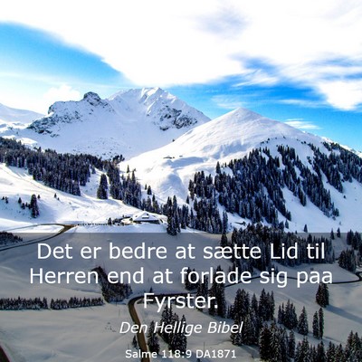 Picture 03 - Salme 118:9 DA1871 - Det er bedre at sætte Lid til Herren end at - Bible Verse Picture